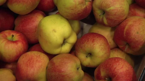 Red Apples Stock Footage 135698700