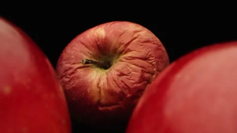 Red Apples Stock Footage 149247889