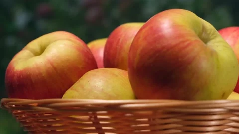 Red apples Stock Footage 153019609