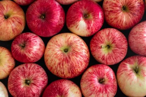 Red apples fruit background. Flat lay. Beautiful ripe fresh striped apples Stock Photos