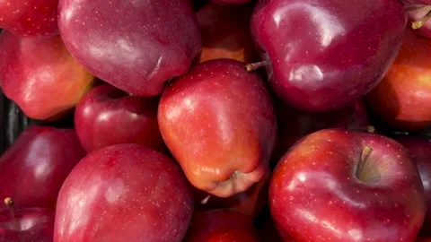 Red apples on fruit shelf Stock Footage 284864284