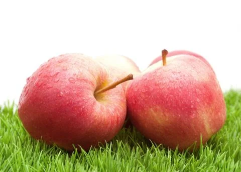 Red apples on grass. Stock Photos