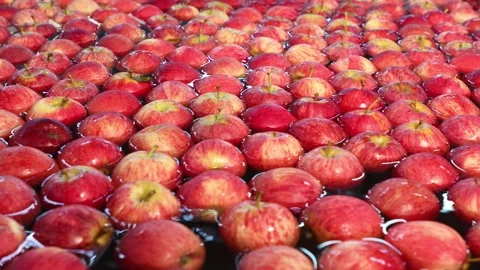 Red apples in the industry selection 002 Stock-Footage 147208999