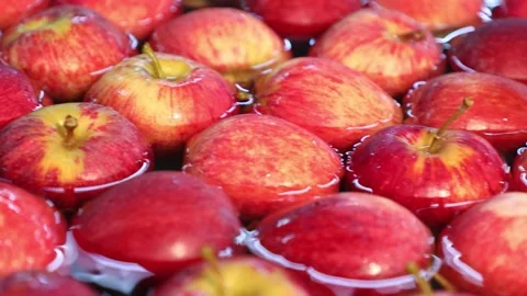 Red apples in the industry selection 003 Video stock 147209144