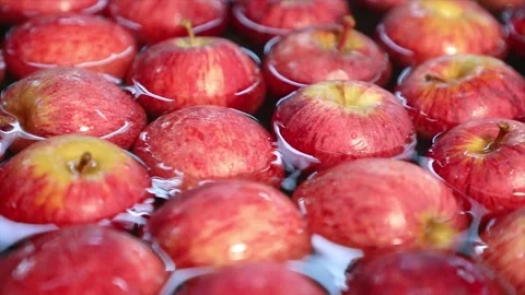 Red apples in the industry selection 009 Stock-Footage 147209734
