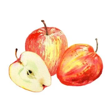 Red apples isolated on white background. Watercolor illustration of cut and Stock Illustration
