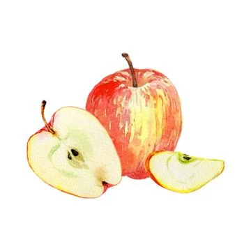 Red apples isolated on white background. Watercolor illustration of cut and Stock Illustration