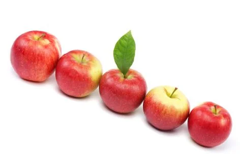 Red apples isolated on white background Stock Photos