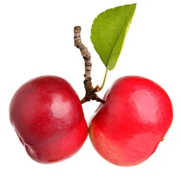 Red apples with a leaf Stock Photos