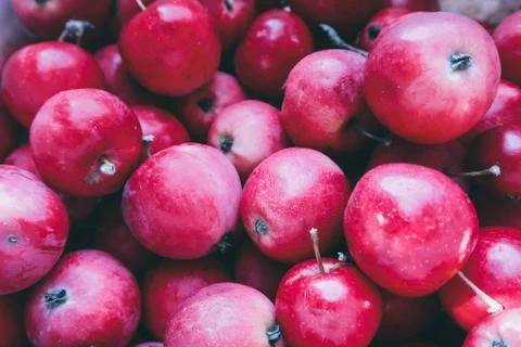 Red apples with leaves on the table. Texture of fruits. Stock Photos