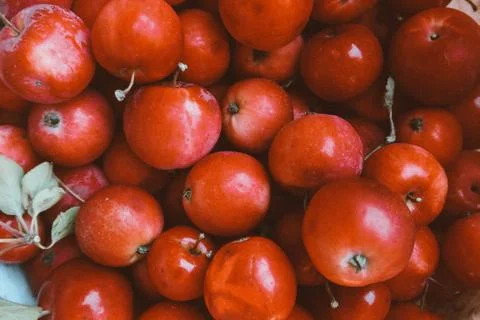 Red apples with leaves on the table. Texture of fruits. Stock Photos