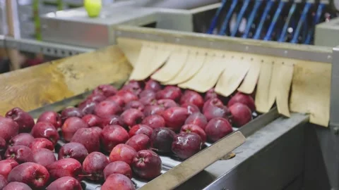 Red apples on the line by sampling apples Stock Footage 197409463