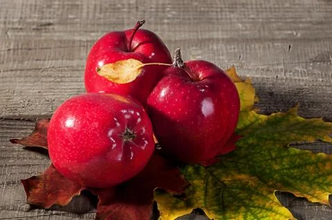 Red apples with maple leaves Stock Photos