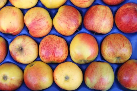 Red apples Stock Photos