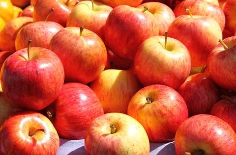 Red apples Stock Photos