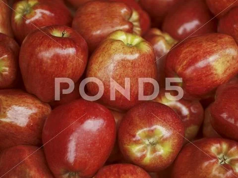 Red apples Stock Photos