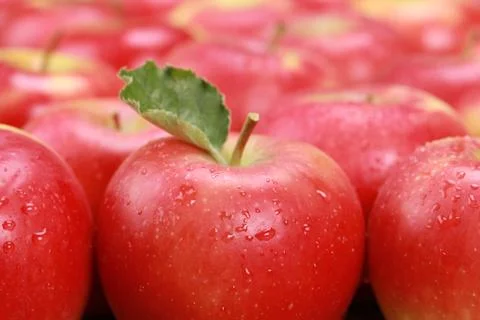 Red apples Stock Photos