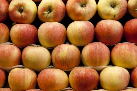 Red apples Stock-Fotos