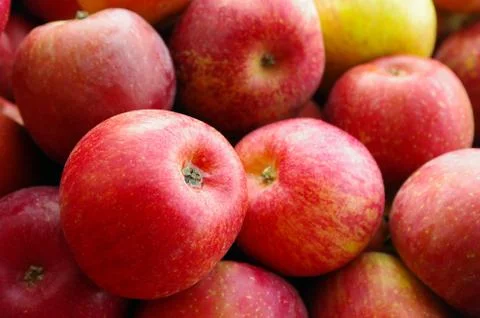 Red apples Stock Photos