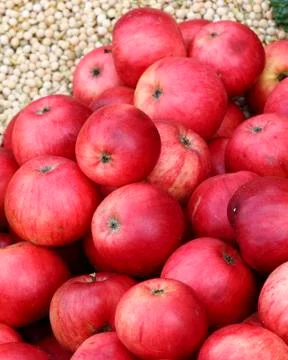 Red apples Stock Photos