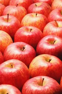 Red apples Stock Photos