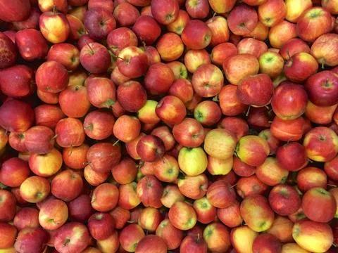 Red apples Stock Photos