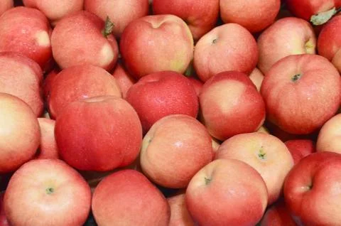 Red apples Stock Photos