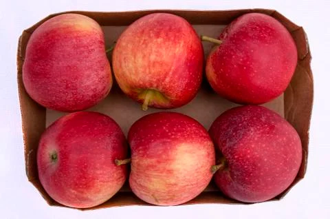 Red Apples Stock Photos