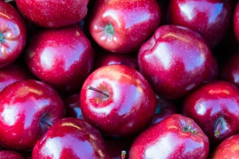 Red apples Stock Photos
