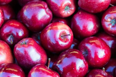 Red apples Stock Photos