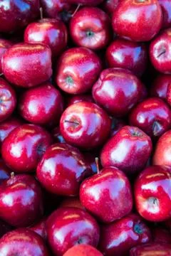 Red apples Stock Photos