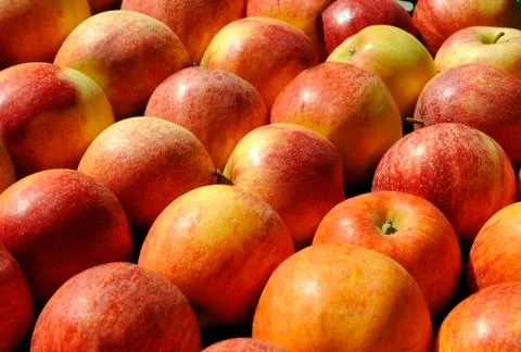 Red apples Stock Photos