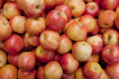 Red apples Stock Photos