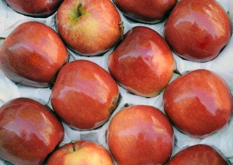 Red apples Stock Photos