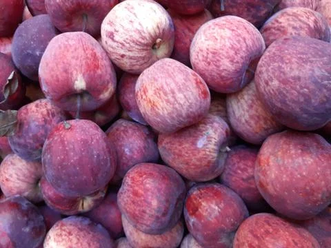 Red apples. Stock Photos
