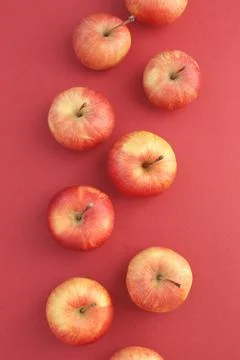 Red apples Stock Photos