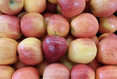 Red Apples Stock Photos