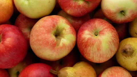 Red apples. Ripe pears. Fruit, top view. Stock Footage 138582230