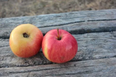Red apples on rustic background Stock Photos