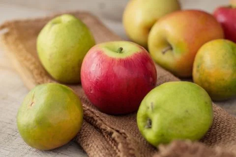 Red apples on sack. Stock Photos