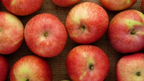 Red apples on sacking. Harvesting. Stock Footage 139398216