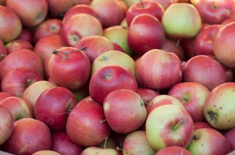 Red apples stack at the market Stock Photos