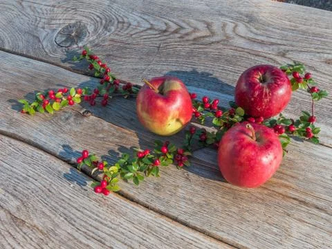 Red apples on table Stock Photos