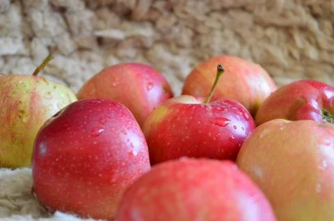Red apples on a table Stock Photos