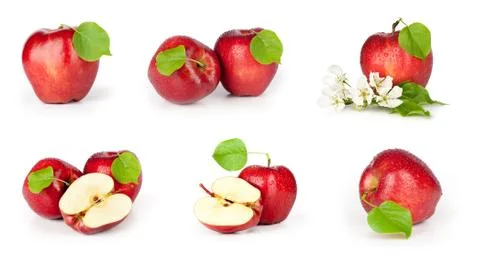 Red apples on white background set Stock Photos