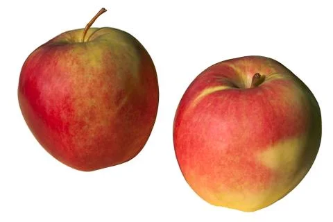 Red apples on white. Stock Photos