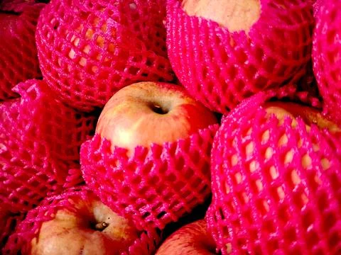 Red apples wrapped in pink protective netting. This photo captures the fres.. Stock Photos