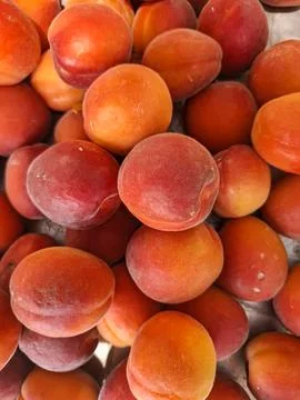 Red apricots showcasing vibrant texture at a Spanish farmers market in summer Stock-Fotos