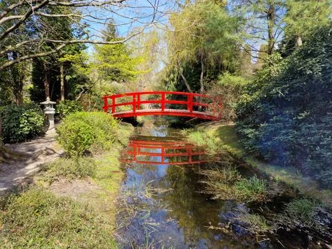 Red arched footbridge over a reflective garden stream Stock Photos