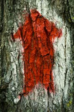 Red arrow on the tree Foto stock